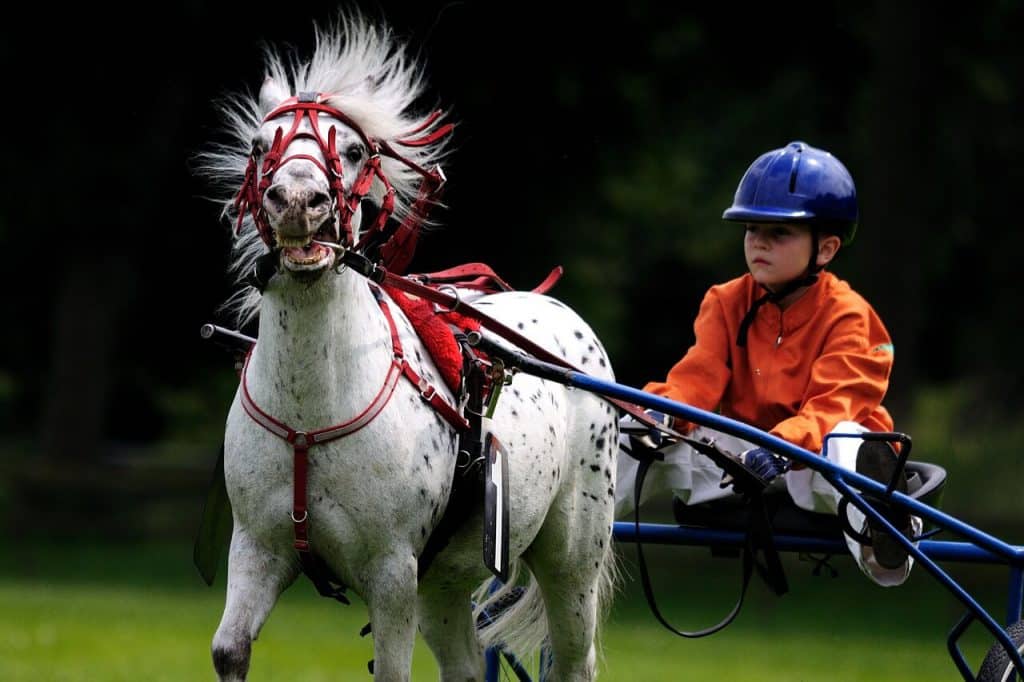 beste paardrijcaps voor kinderen (1)