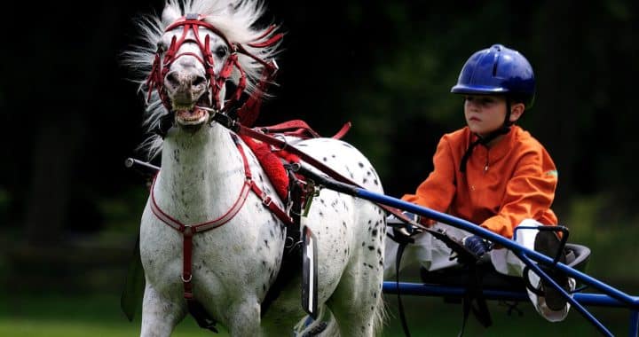 beste paardrijcaps voor kinderen (1)