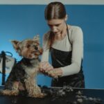 hond zelf trimmen met hondentrimmer