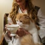 drinkende kat
